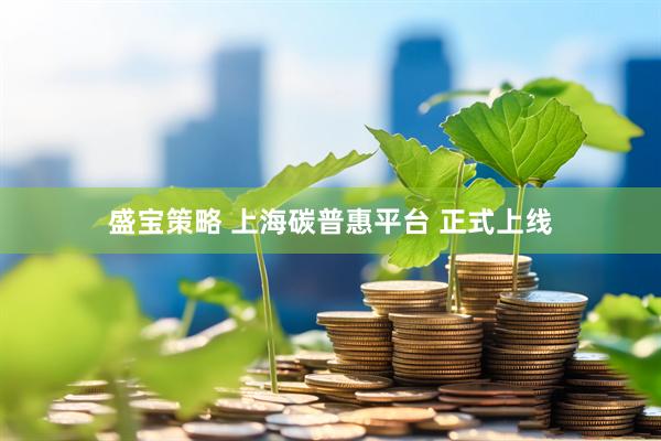 盛宝策略 上海碳普惠平台 正式上线