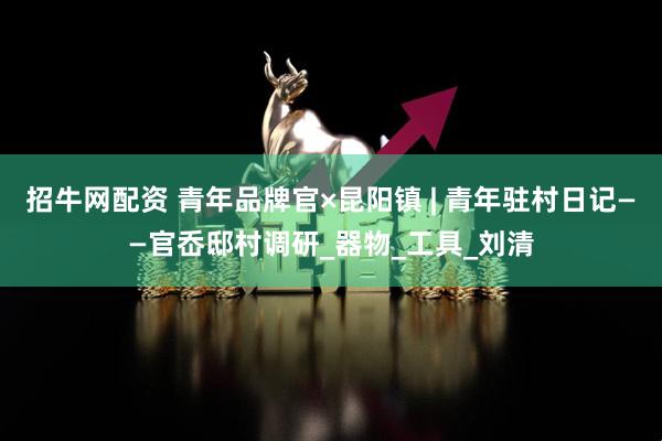 招牛网配资 青年品牌官×昆阳镇 | 青年驻村日记——官岙邸村调研_器物_工具_刘清