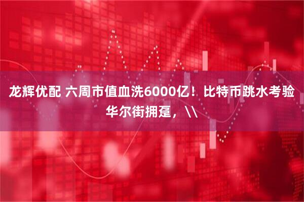 龙辉优配 六周市值血洗6000亿！比特币跳水考验华尔街拥趸，\